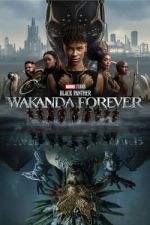 Watch Black Panther: Wakanda Forever Soap2day