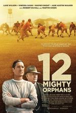 Watch 12 Mighty Orphans Soap2day