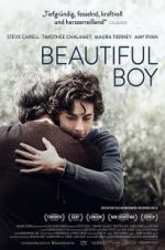 Watch Beautiful Boy Soap2day