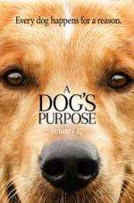 Watch A Dog's Purpose Soap2day
