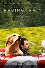 Watch The Art of Racing in the Rain Soap2day