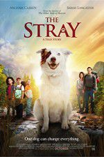 Watch The Stray Soap2day