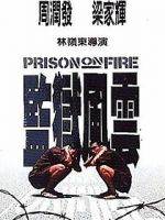 Watch Prison on Fire Soap2day