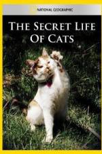 Watch National Geographic The Secret Life of Cats Soap2day