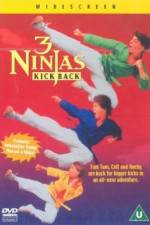Watch 3 Ninjas Kick Back Soap2day