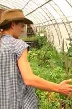 Watch Green House Seeds Strain Hunters India Expedition Soap2day