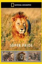 Watch National Geographic: Super Pride Africa\'s Largest Lion Pride Soap2day