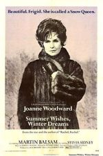 Watch Summer Wishes, Winter Dreams Soap2day