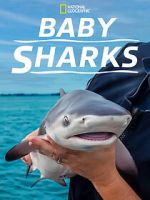 Watch Baby Sharks Soap2day