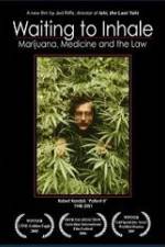 Watch Waiting to Inhale Soap2day