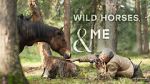 Watch Wild Horses, the Rockies and Me (TV Special 2025) Soap2day