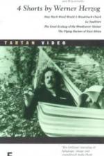 Watch La Soufria?re - Waiting For An Inevitable Disaster Soap2day