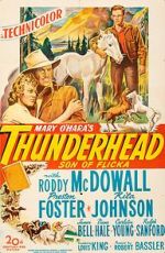 Watch Thunderhead: Son of Flicka Soap2day