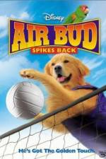 Watch Air Bud Spikes Back Soap2day