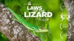 Watch Laws of the Lizard Soap2day