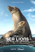 Watch Sea Lions of the Galapagos (TV Special 2025) Soap2day
