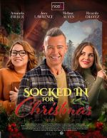 Watch The Great Christmas Snow-In Soap2day