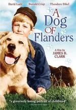 Watch A Dog of Flanders Soap2day