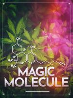 Watch Magic Molecule Soap2day