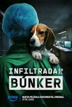 Watch Infiltrada en el búnker Soap2day