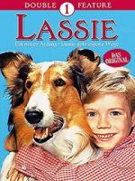 Watch Lassie: A New Beginning Soap2day