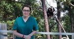 Watch Sue Perkins and the Chimp Sanctuary Soap2day