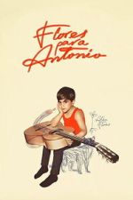Watch Flores para Antonio Soap2day
