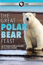 Watch The Great Polar Bear Feast Soap2day