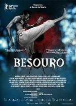 Watch The Assailant Soap2day