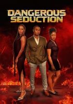 Watch Dangerous Seduction Soap2day