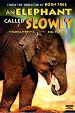Watch An Elephant Called Slowly Soap2day
