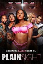 Watch Plain Sight Soap2day
