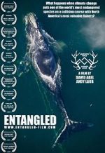 Watch Entangled: The Race to Save Right Whales from Extinction Soap2day