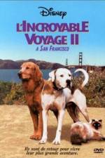 Watch Homeward Bound II Lost in San Francisco Soap2day