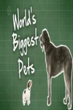 Watch World's Biggest Pets Soap2day