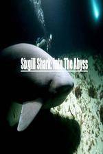 Watch National Geographic Wild Sixgill Shark Into The Abyss Soap2day