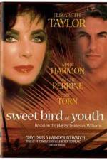 Watch Sweet Bird of Youth Soap2day