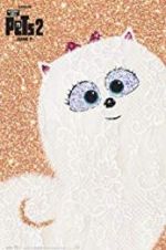 Watch Super Gidget Soap2day