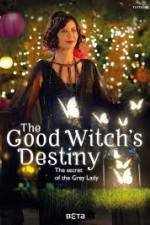 Watch The Good Witchs Destiny Soap2day