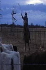 Watch Cowboy Christmas Soap2day