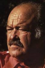 Watch The Return of Frank Cannon Soap2day