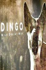 Watch Dingo Wild Dog at War Soap2day