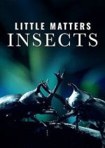 Watch Little Matters: Insects Soap2day