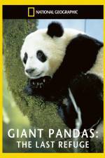 Watch National Geographic Giant Pandas The Last Refuge Soap2day