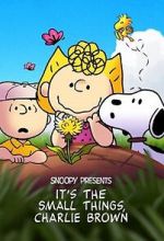 Watch Snoopy Presents: It's the Small Things, Charlie Brown (TV Special 2022) Soap2day