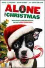 Watch Alone For Christmas Soap2day