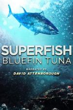 Watch Superfish Bluefin Tuna Soap2day
