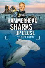 Watch Hammerhead Sharks Up Close with Bertie Gregory Soap2day