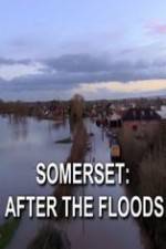 Watch Somerset: After the Floods Soap2day