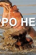 Watch Hippo Hell Soap2day